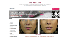 Desktop Screenshot of nycperlane.org