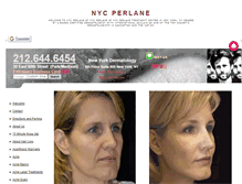 Tablet Screenshot of nycperlane.com